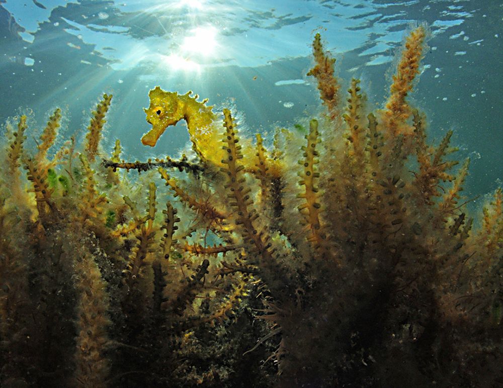 Photograph by Jose Salmeron