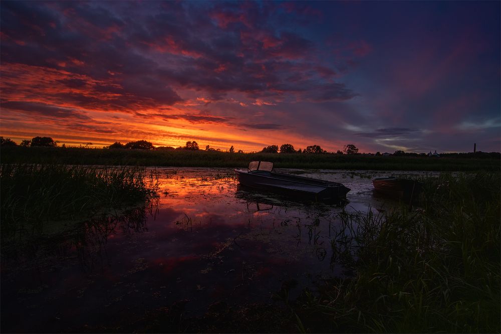 Фотография автора Майя Афзаал