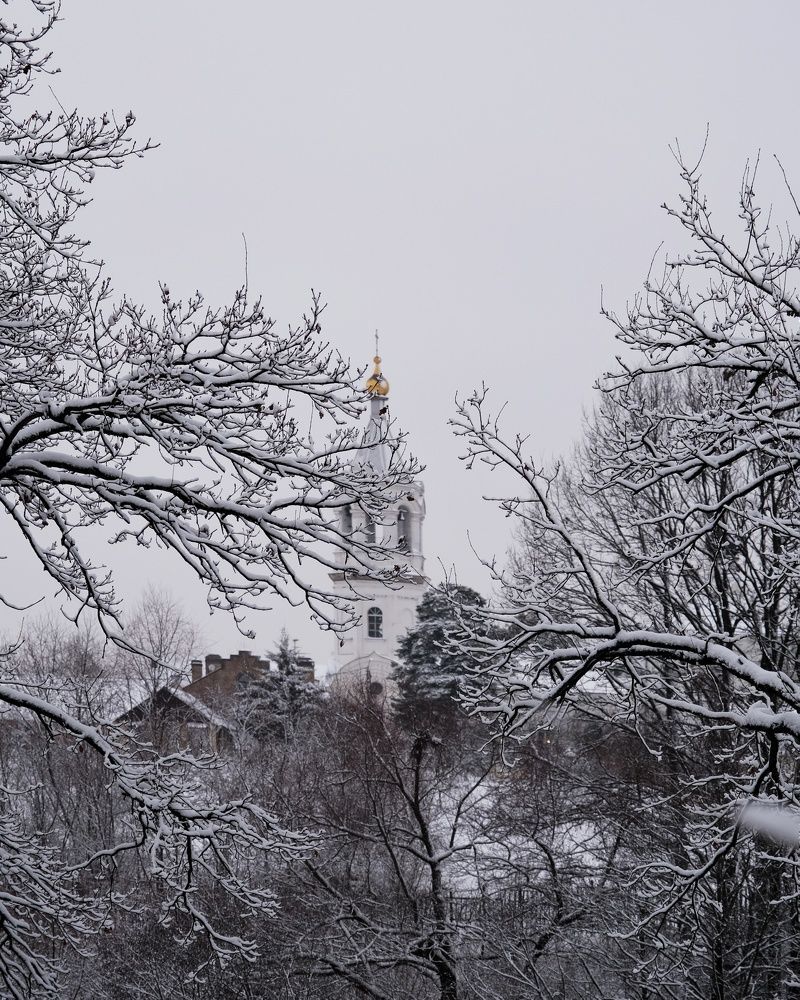 Photograph by Любовь
