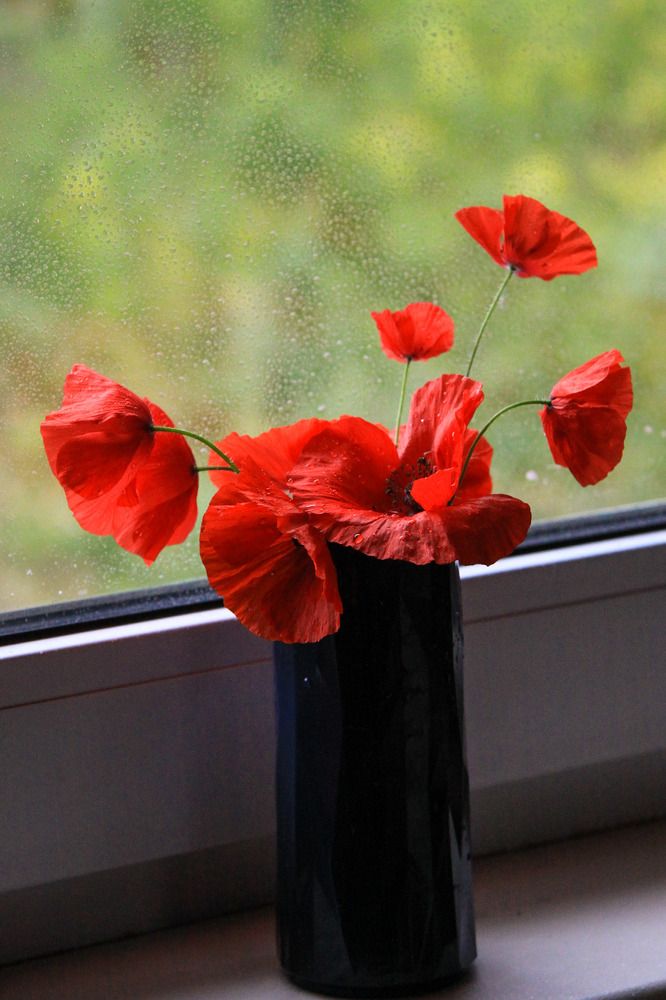 Photograph by Жанна Цветкова