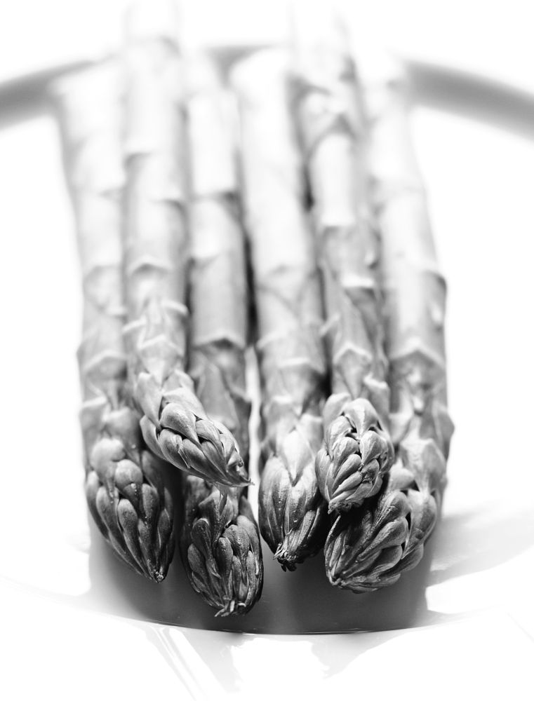 Photograph by Maja Sokolean