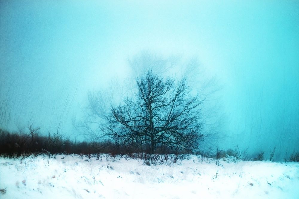 Photograph by Alexey Matveev