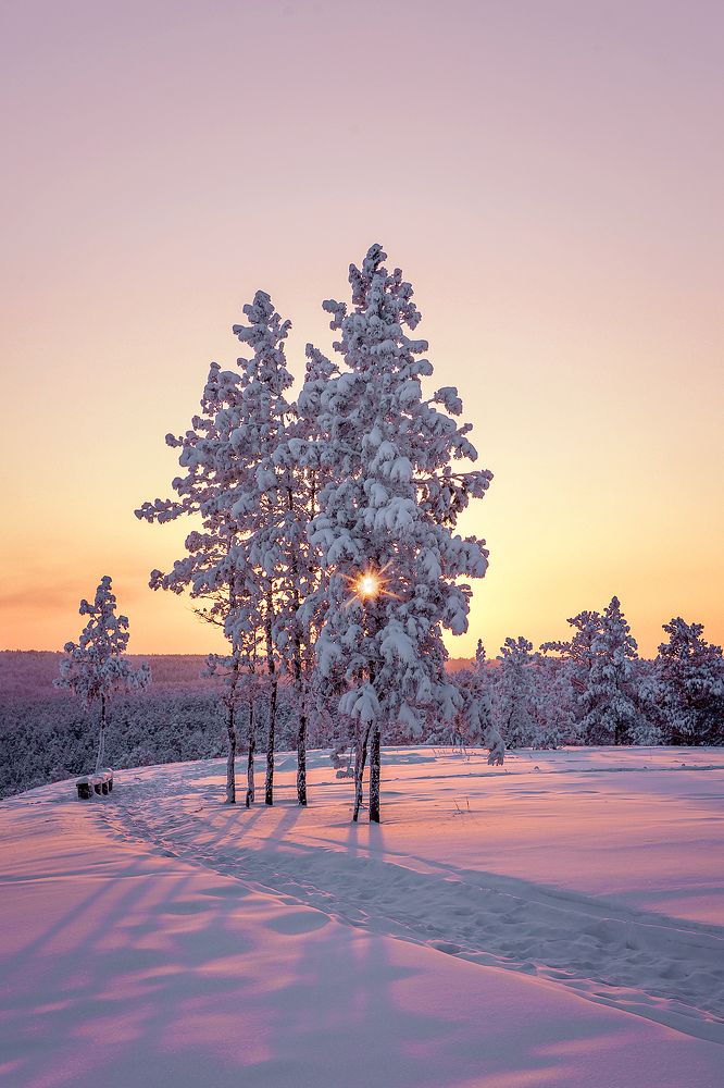 Зимний вечер
