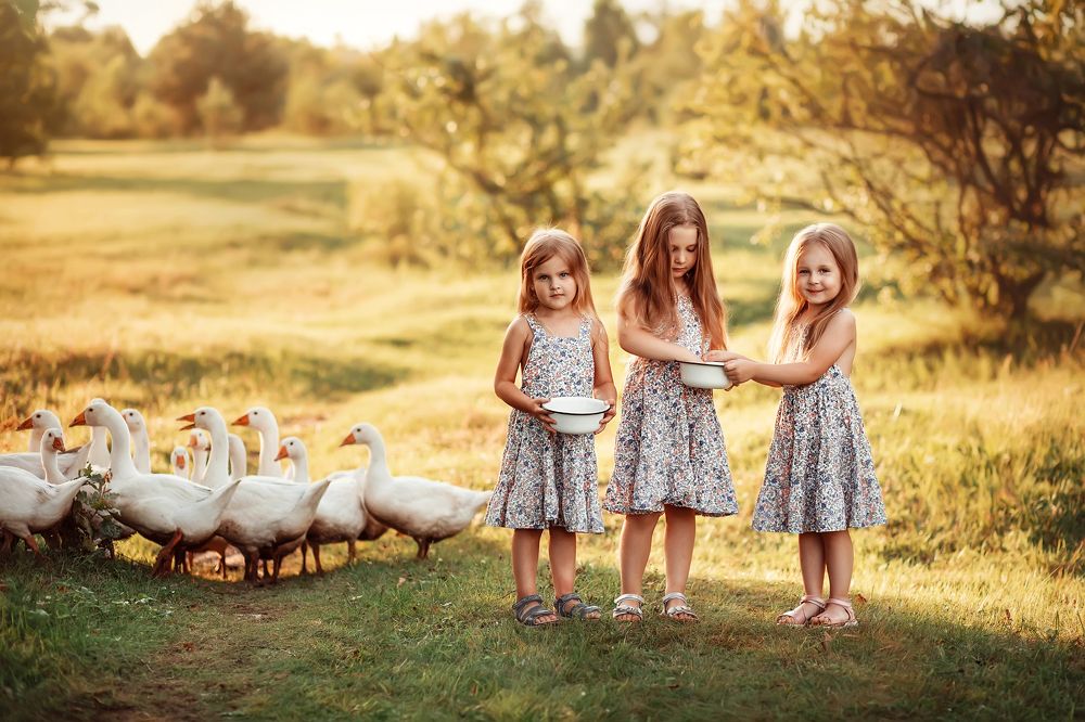 Photograph by Ольга Додонова