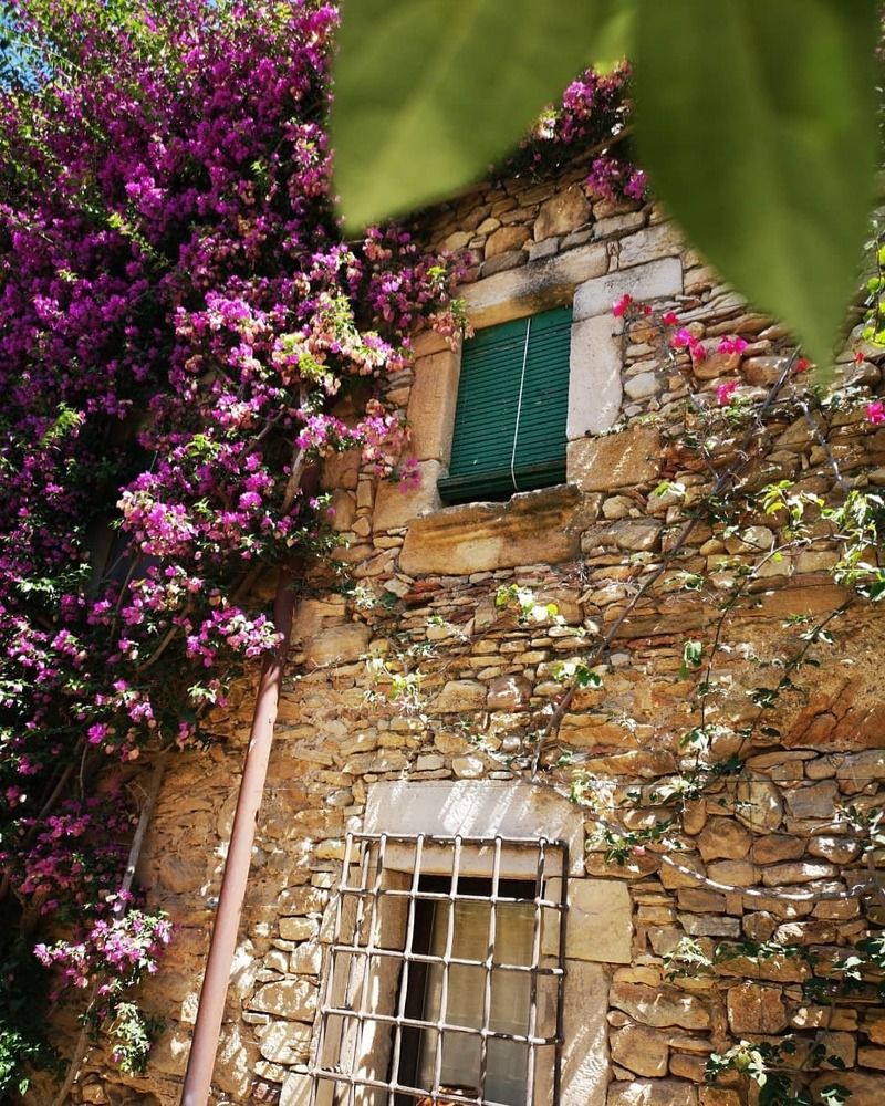 Photograph by Валентина Асотикова