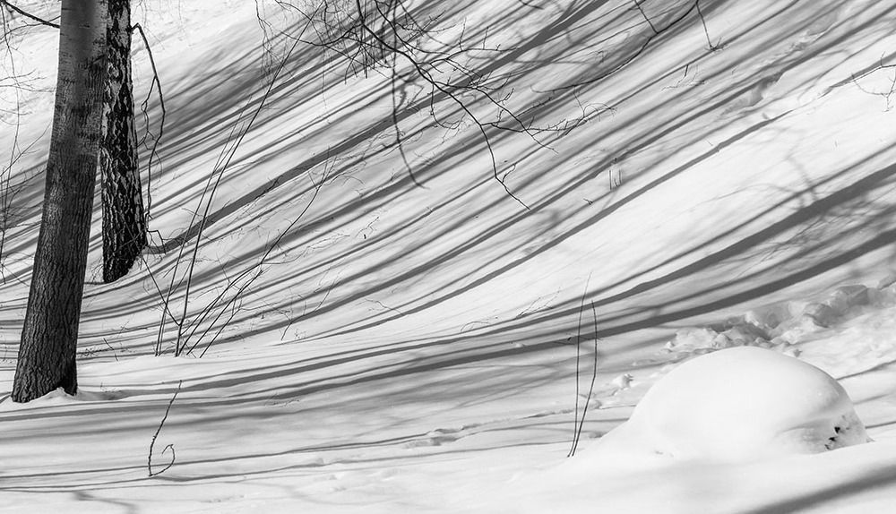 Photograph by Ольга