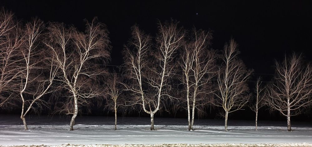 Photograph by КОНСТАНТИН МОНКЛЕР