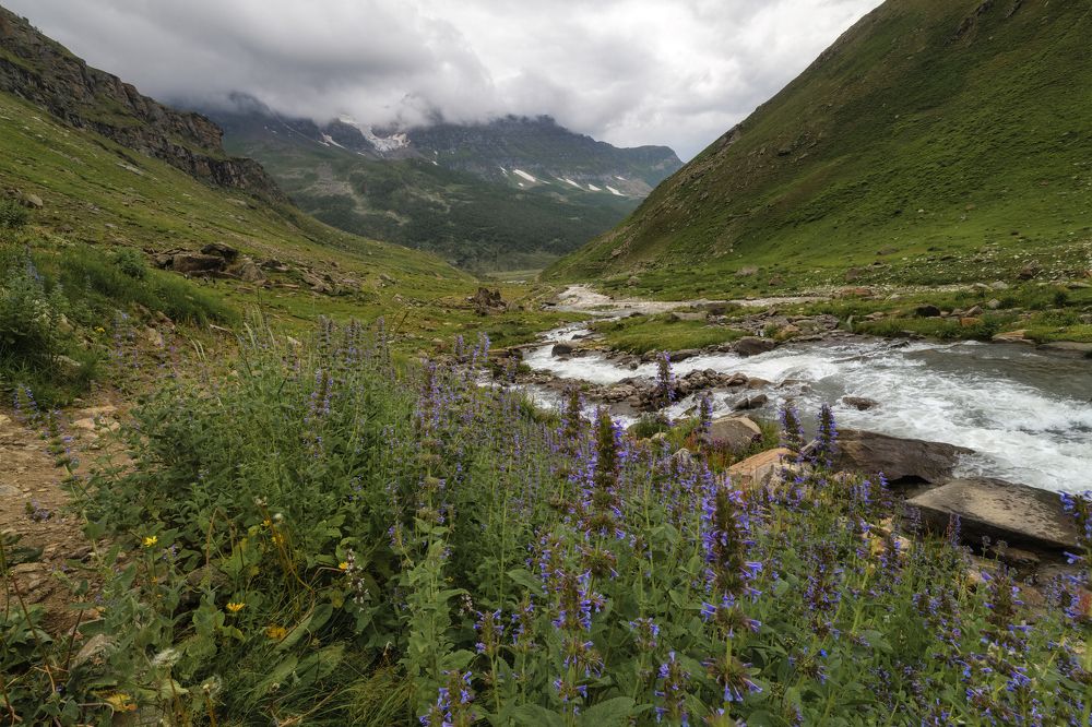 Photograph by maqsood123