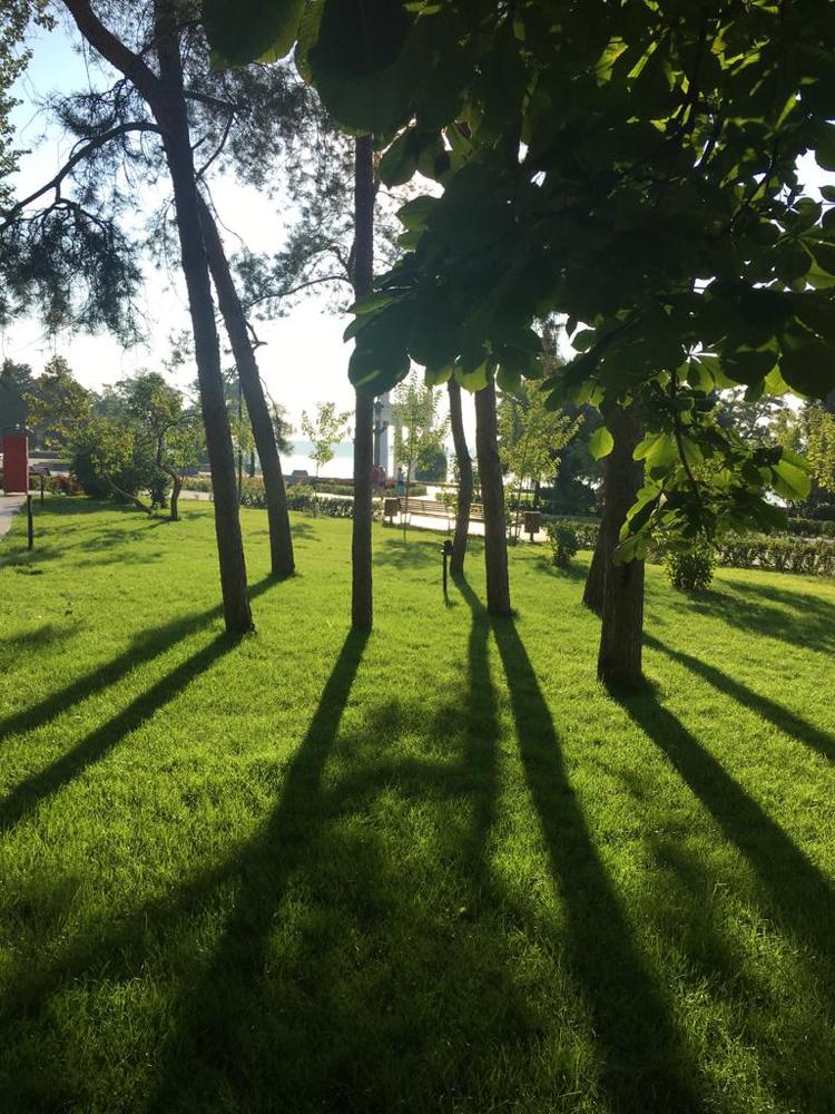 Photograph by Дмитрий Вязьмин