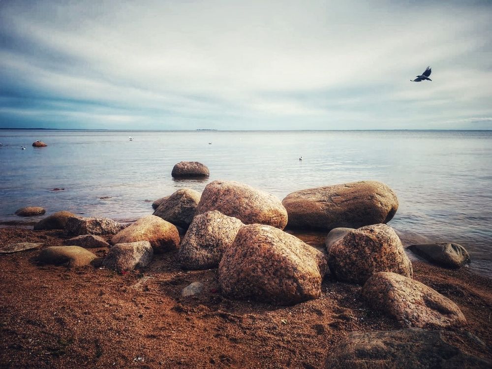 Фотография автора Василий Рябовол