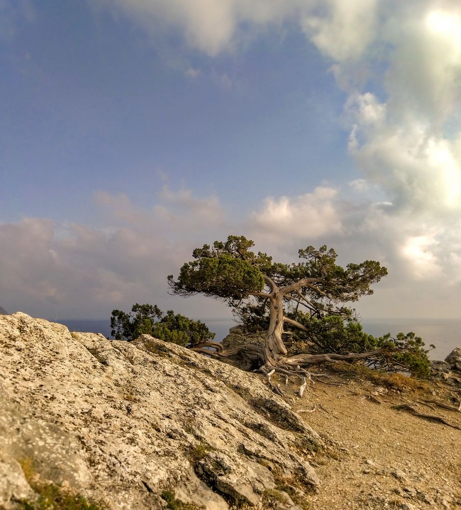 Photograph by Юлия Зигангирова