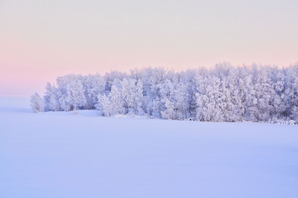 Photograph by Оксана Козлова