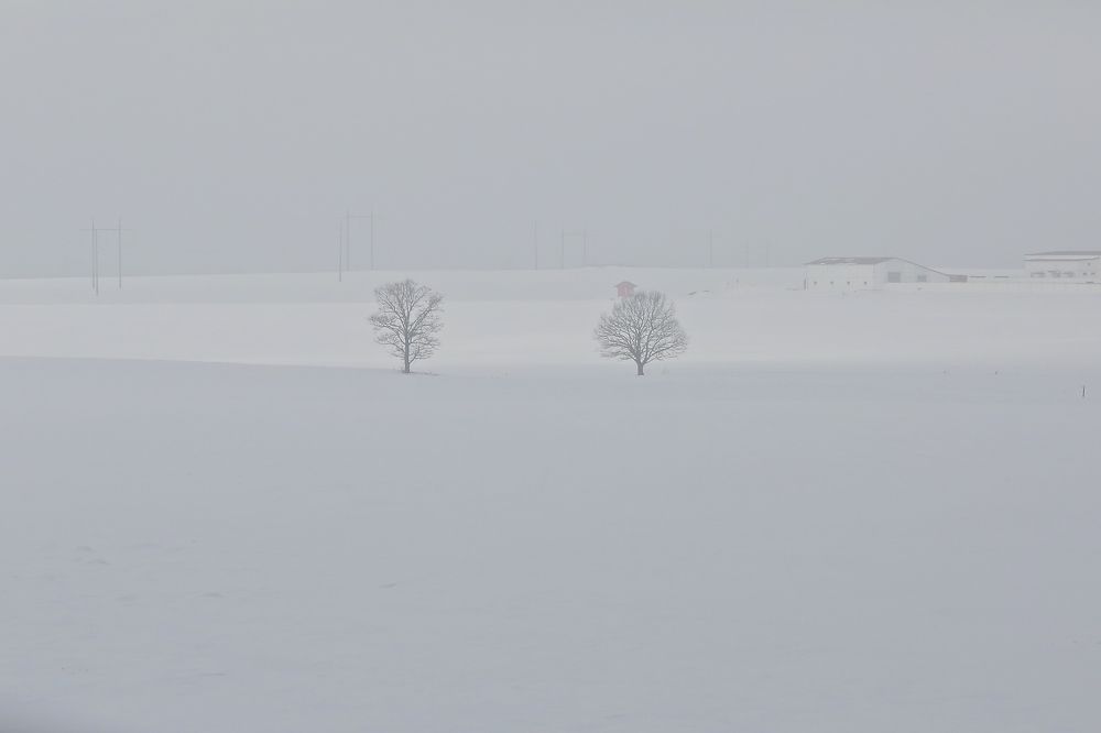 Фотография автора Наталья Васько -Черданцева