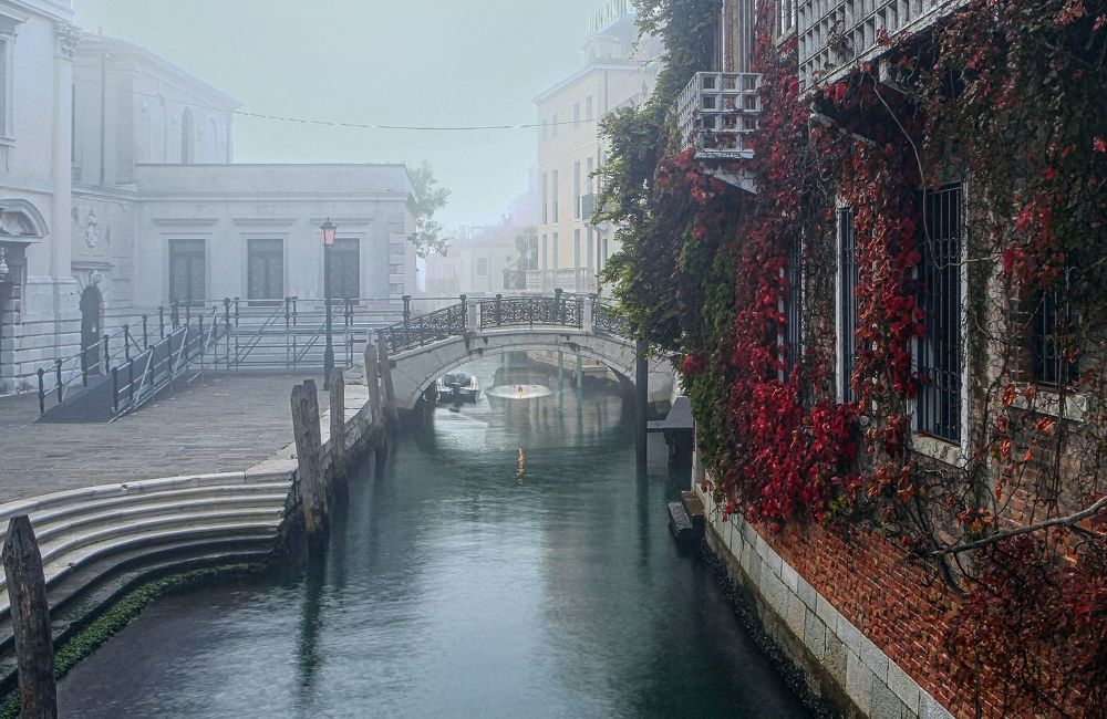 Фотография автора Милокост Алексей