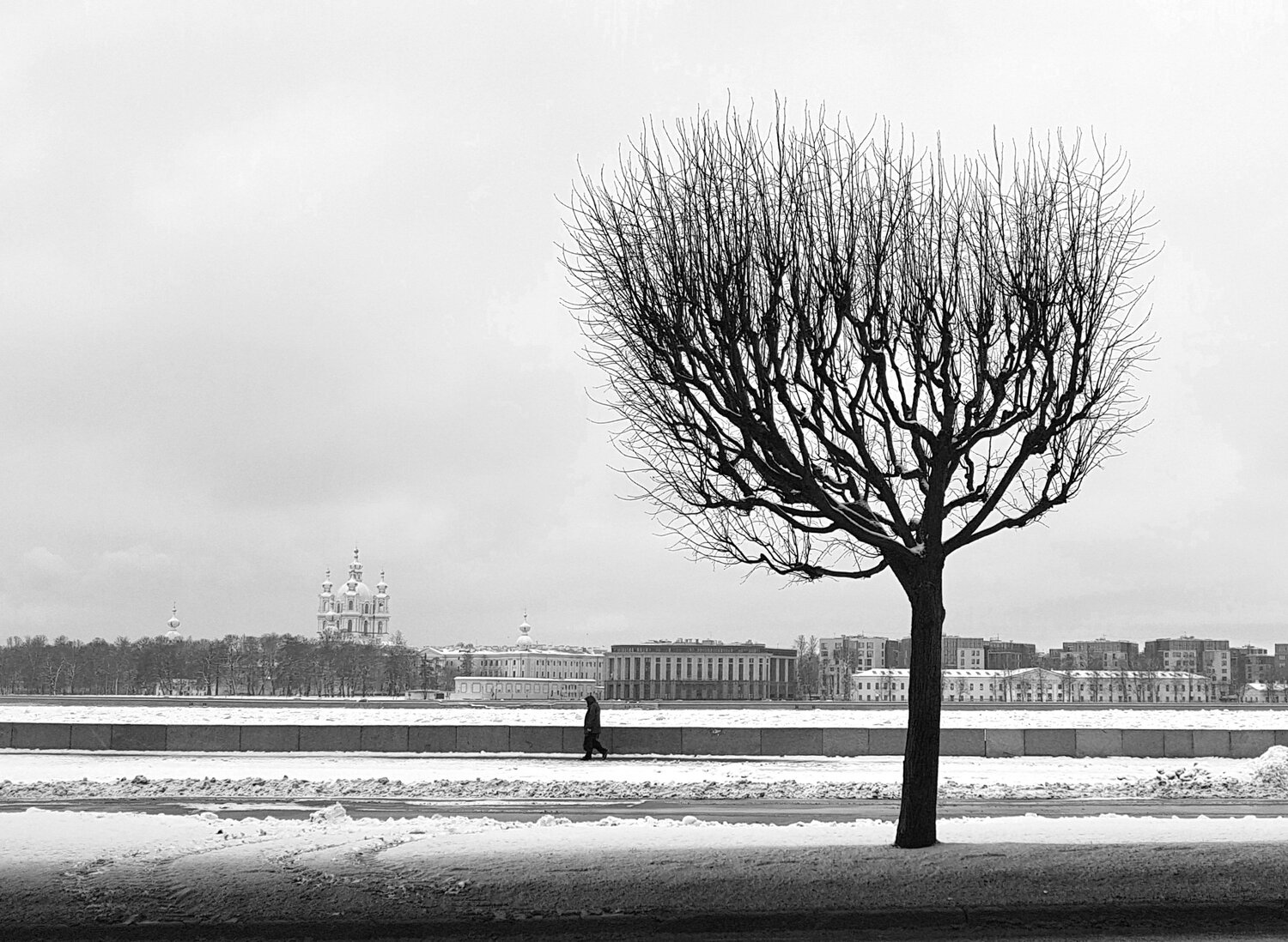 Photo #5824843