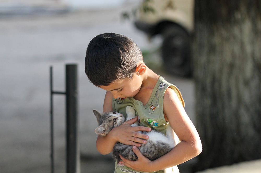 Photograph by Анна Кондратьева