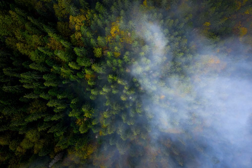 Фотография автора Андрей [Seencleyr] Чуяшенко