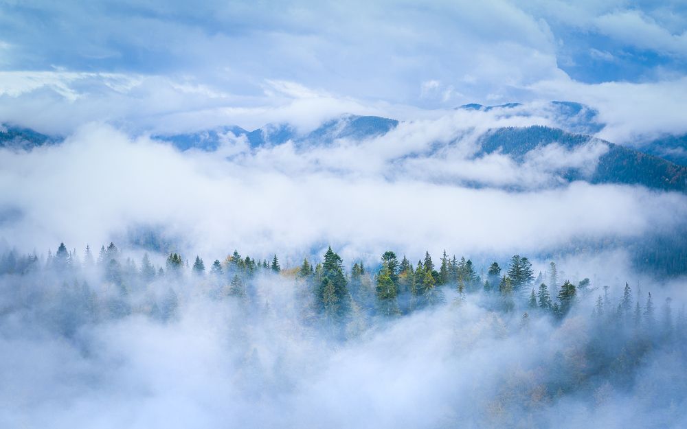 Фотография автора Андрей [Seencleyr] Чуяшенко