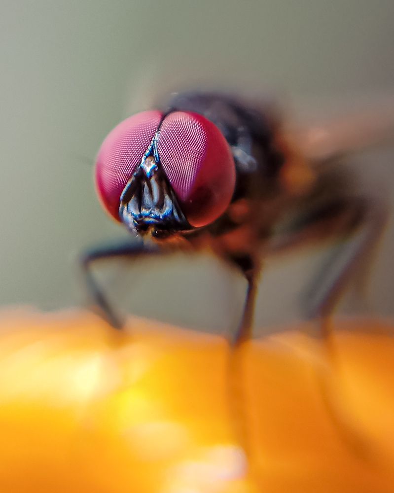 Photograph by Desikan Venkataraghavan