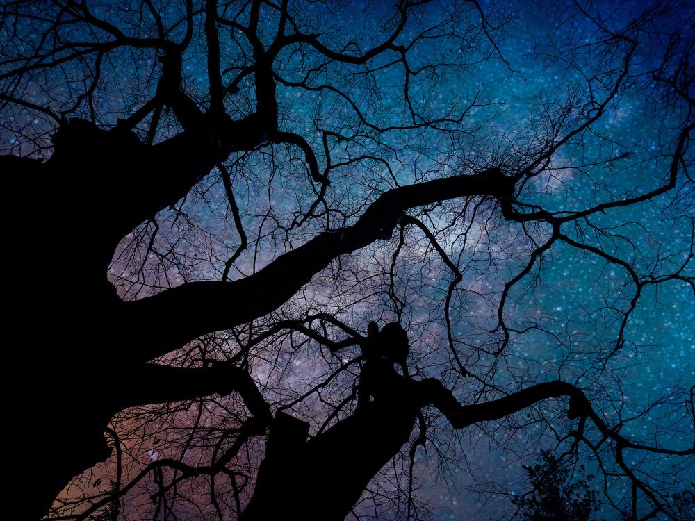 Photograph by Giorgi Shubitidze