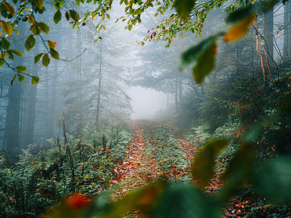 Фотография автора Андрей [Seencleyr] Чуяшенко