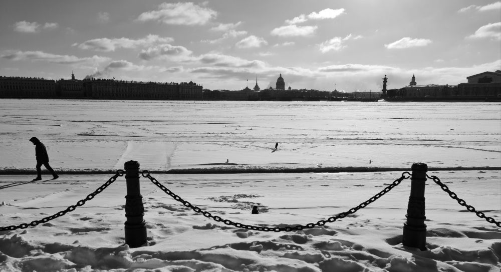 Photo #5824986