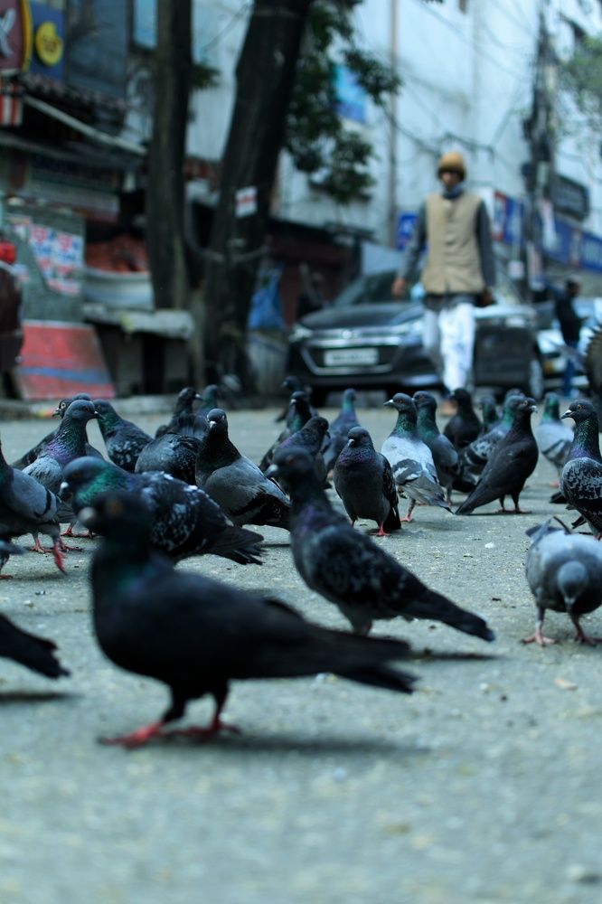 Photograph by Sulagna Banerjee