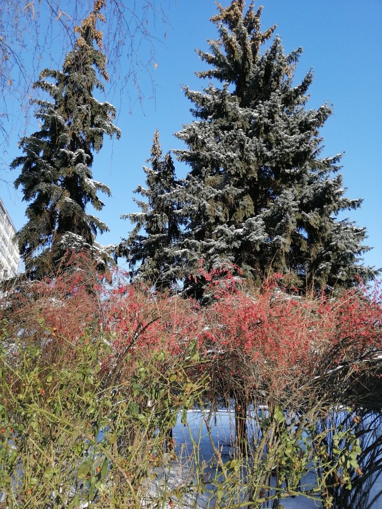 Фотография автора Алла Роденко