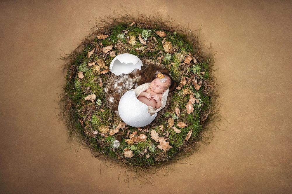 Photograph by Daniel Baksza