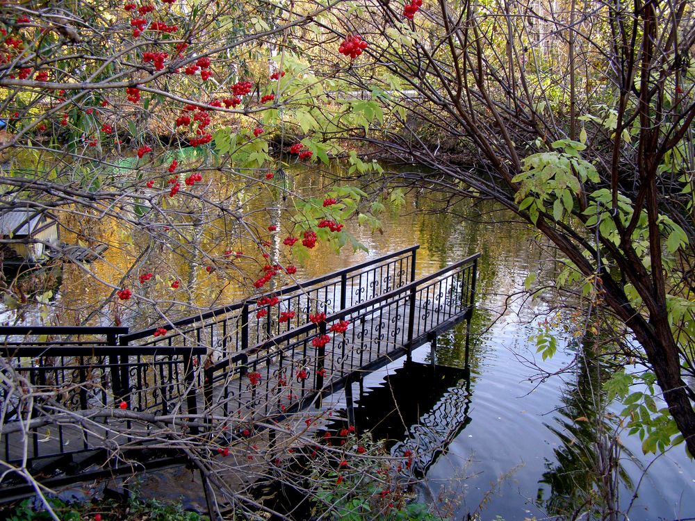 Photograph by Ирина Вассерлауф