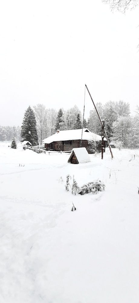 Снежная зима