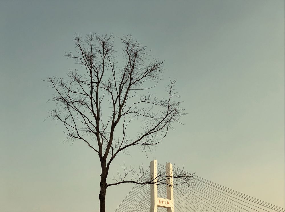 Photograph by blackstation