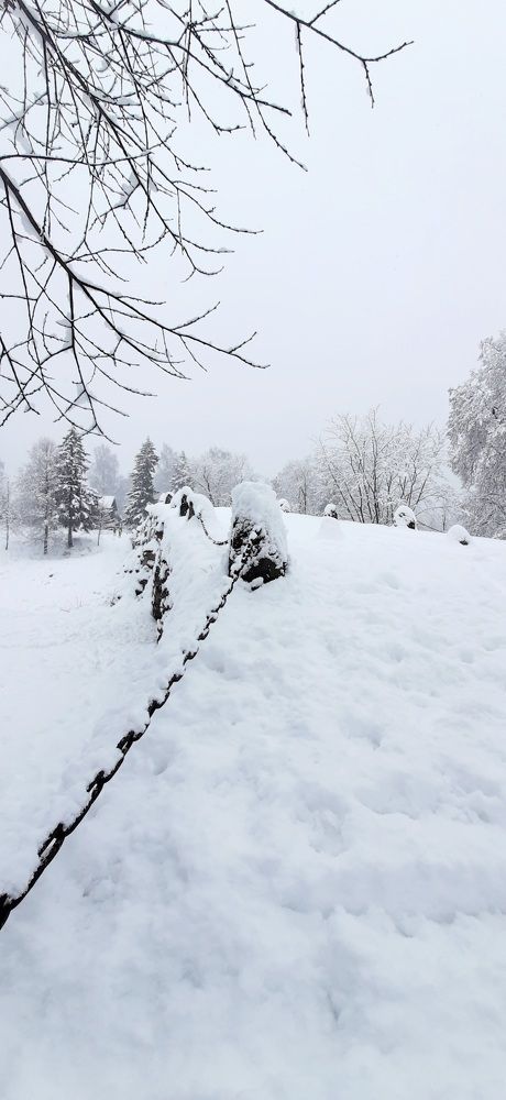 Снежные просторы