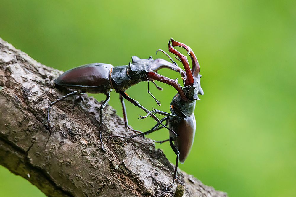 Photograph by Сергей Савви