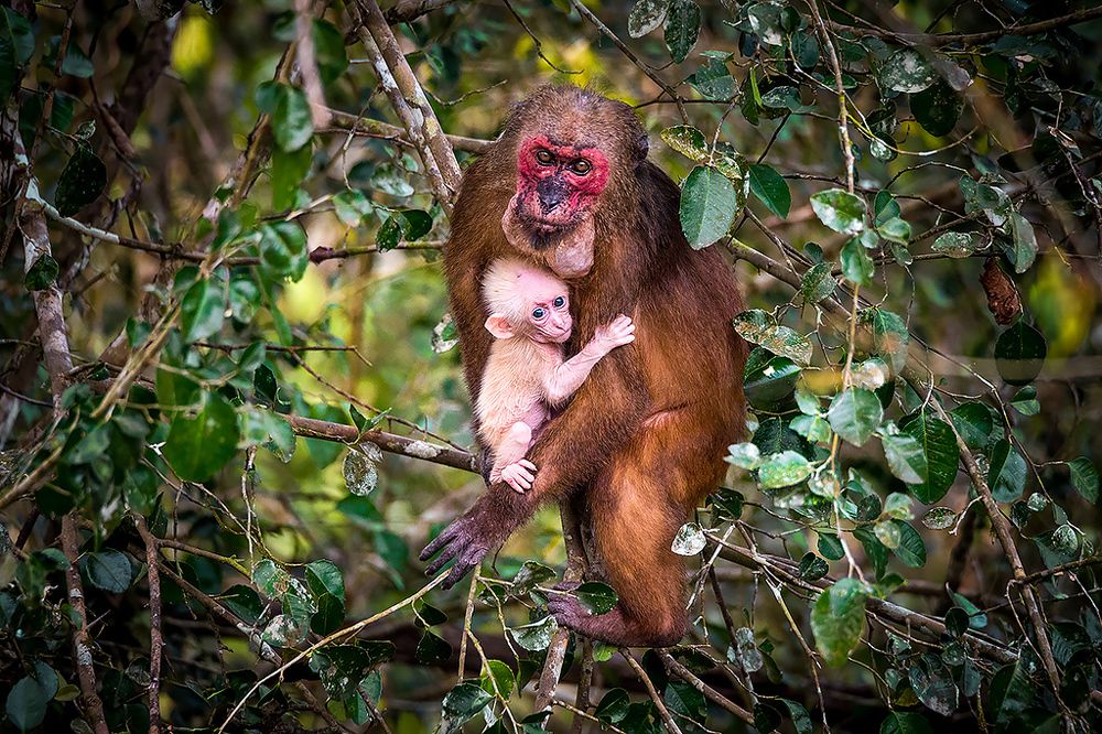 Photograph by Сергей Савви