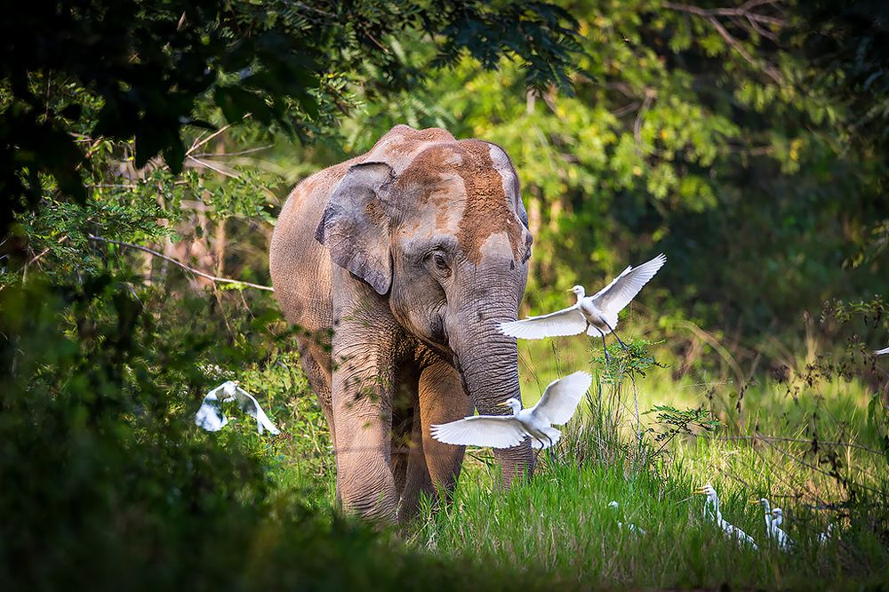 Photograph by Сергей Савви