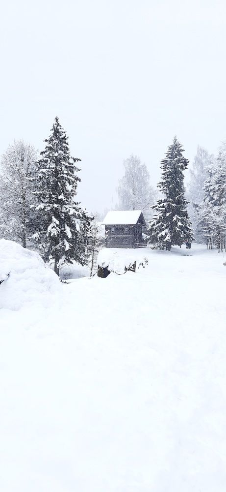 Заснеженная сказка