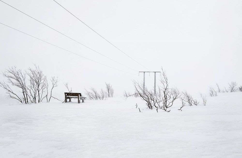 The sound of silence.....