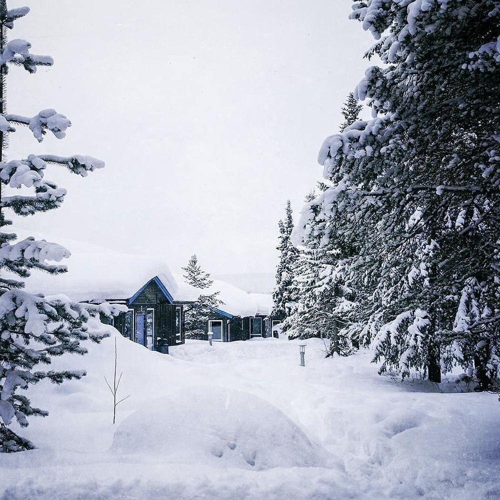 A million little sparkles.....