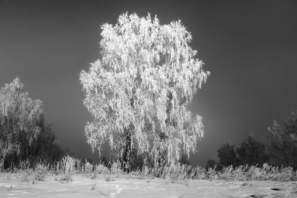 Photograph by Кирилл Трушин