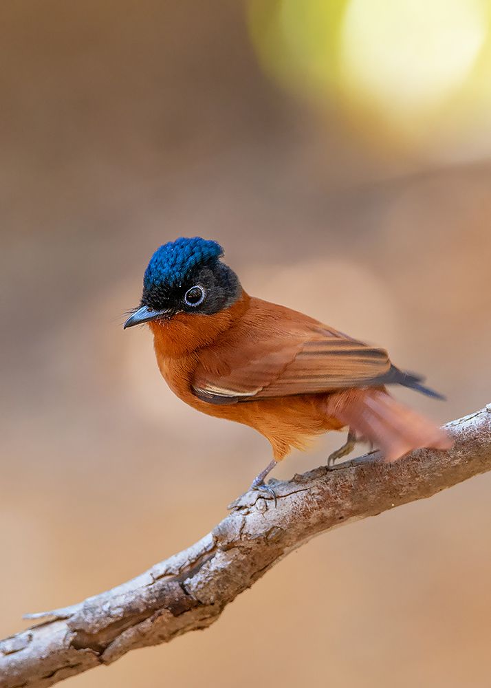 Photograph by Сергей Савви