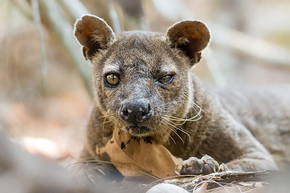 Photograph by Сергей Савви