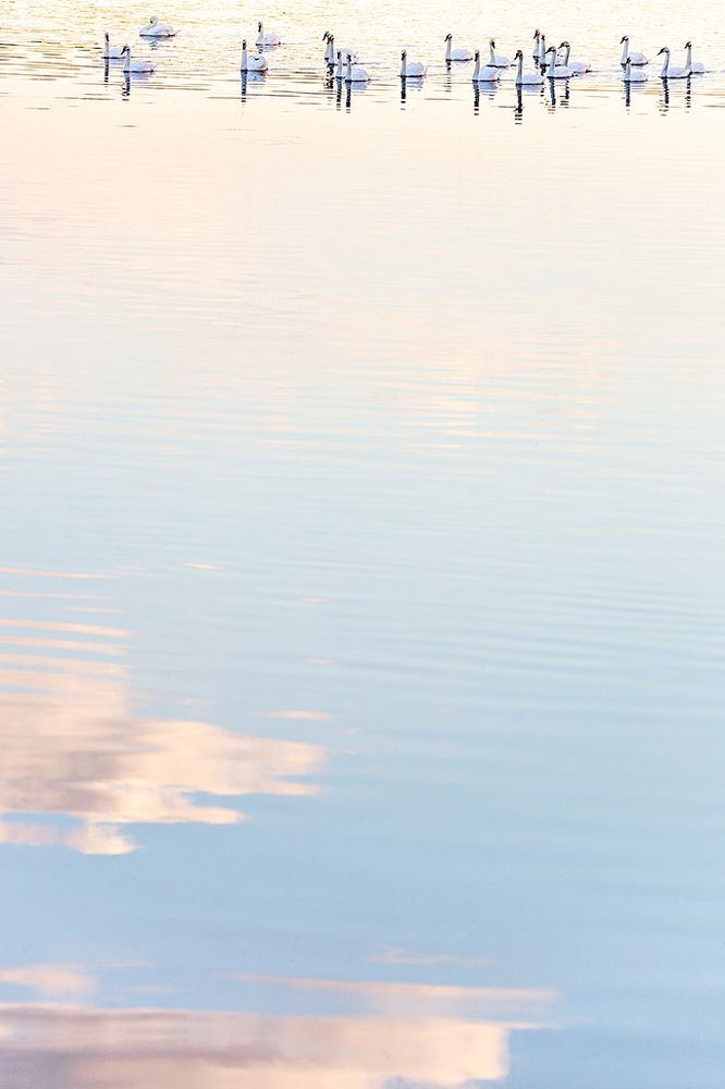 Photograph by Сергей Савви