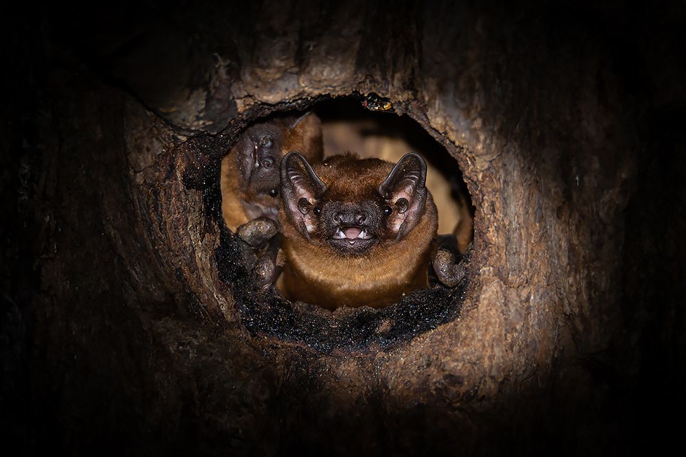 Photograph by Сергей Савви