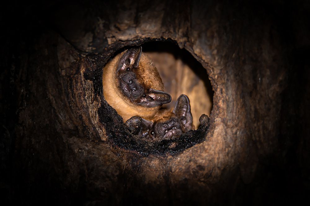 Photograph by Сергей Савви