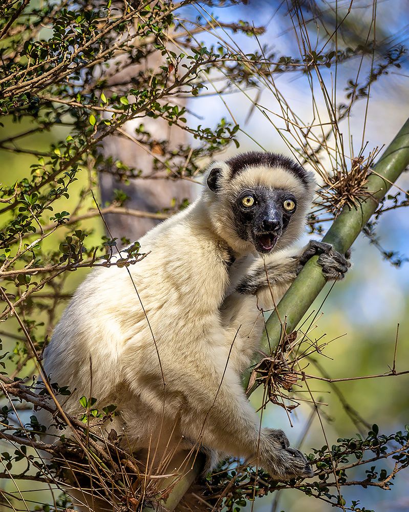 Photograph by Сергей Савви