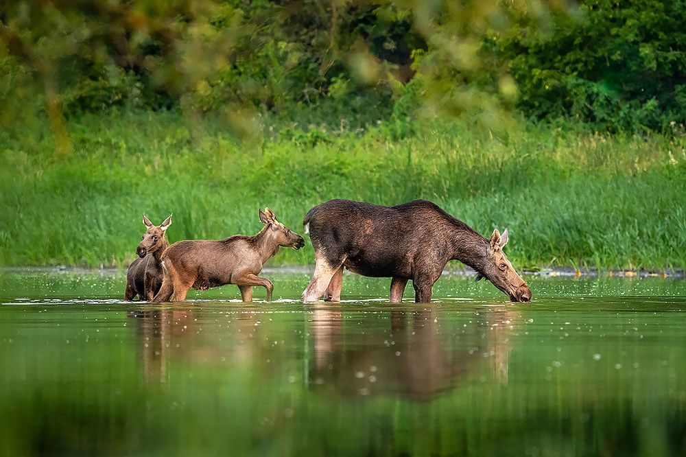 Photograph by Сергей Савви