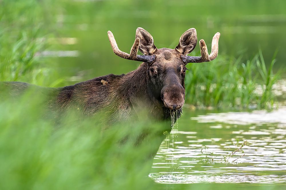 Photograph by Сергей Савви