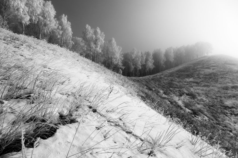 Photograph by Кирилл Трушин