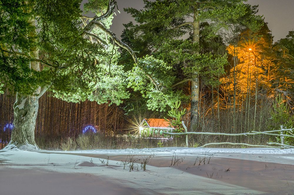 Зимняя сказка Заречного парка